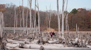 Severe drought is drying up reservoirs, rivers and channels across the northeast, according to data from the U.S. Geological Survey.