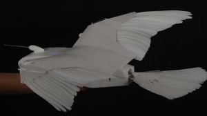 Researchers revealed in findings published on Wednesday, Nov. 20, in Science Robotics that they have developed the so-called 'PigeonBot II.'