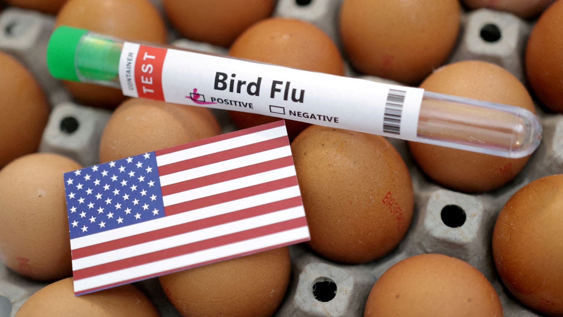 The U.S. Centers for Disease Control and Prevention announced on Thursday, Nov. 7, that it is expanding testing for bird flu to all dairy workers exposed to infected animals, even those without symptoms.