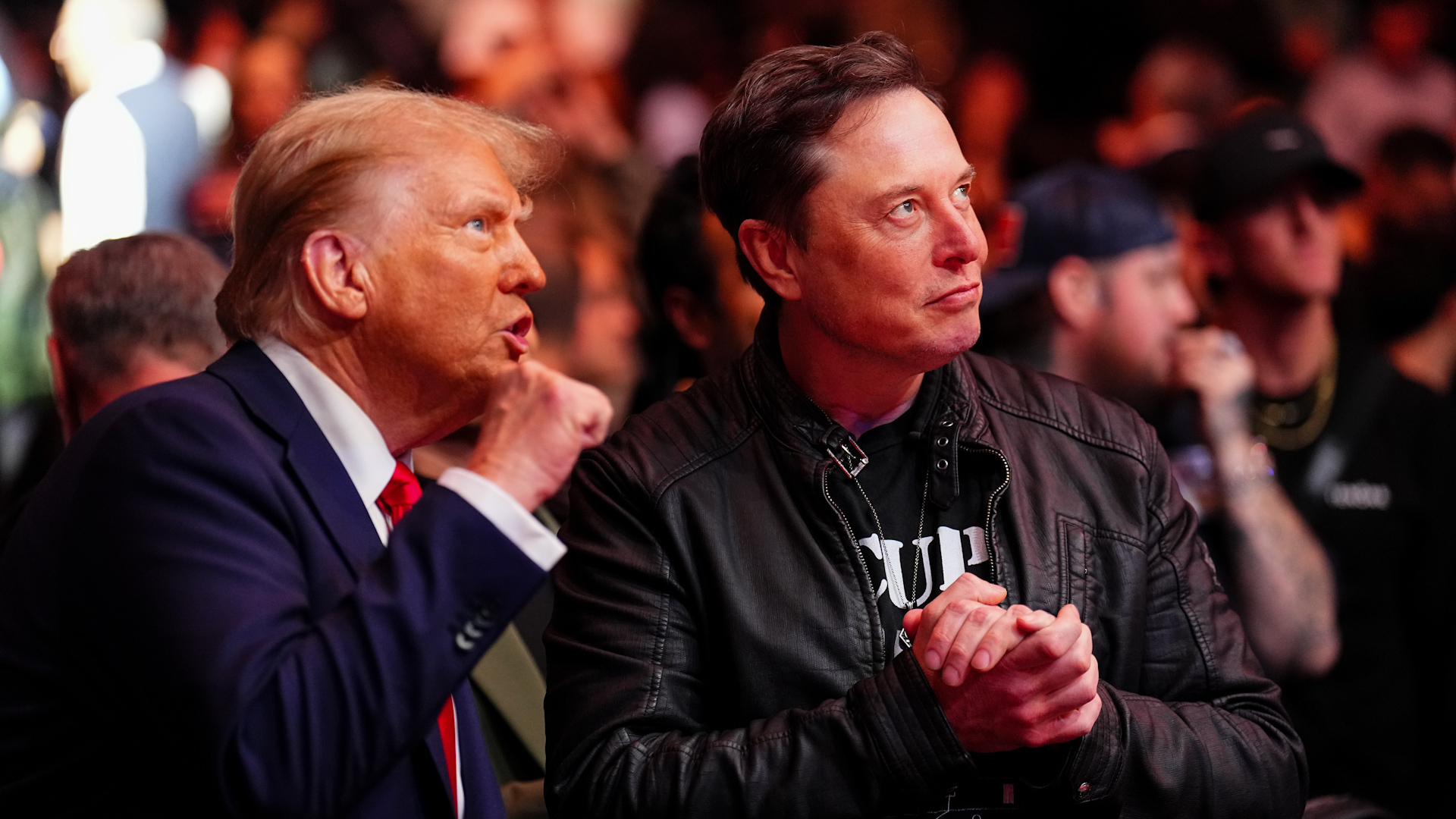 Elon Musk and Vivek Ramaswamy revealed plans to overhaul the government through a new initiative, the Department of Government Efficiency.