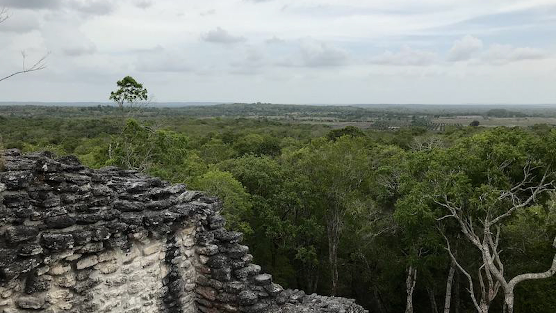 A Tulane University graduate student discovered a massive ancient Mayan city hidden in Mexico's jungle using LiDAR technology.