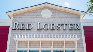 Red lobster is hoping for a comeback with a new menu and a millennial makeover led by the company’s new 35-year-old CEO.