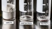 The CDC warns about the increasing presence of carfentanil, a synthetic opioid 100 times more potent than fentanyl.