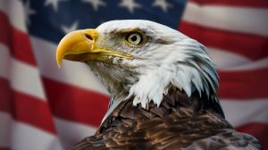 As the United States approaches its 250th anniversary, one American symbol is finally getting its official due: the bald eagle.