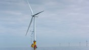 The world’s largest single-capacity wind turbine experienced a failure of its typhoon-proof blades during extreme testing off China's coast.