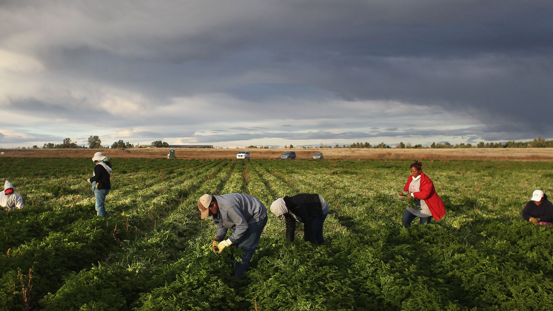 "Low-skilled" workers must not be overlooked. In fact, in some cases, it's the over-educated, highly-skilled workers that can harm America.