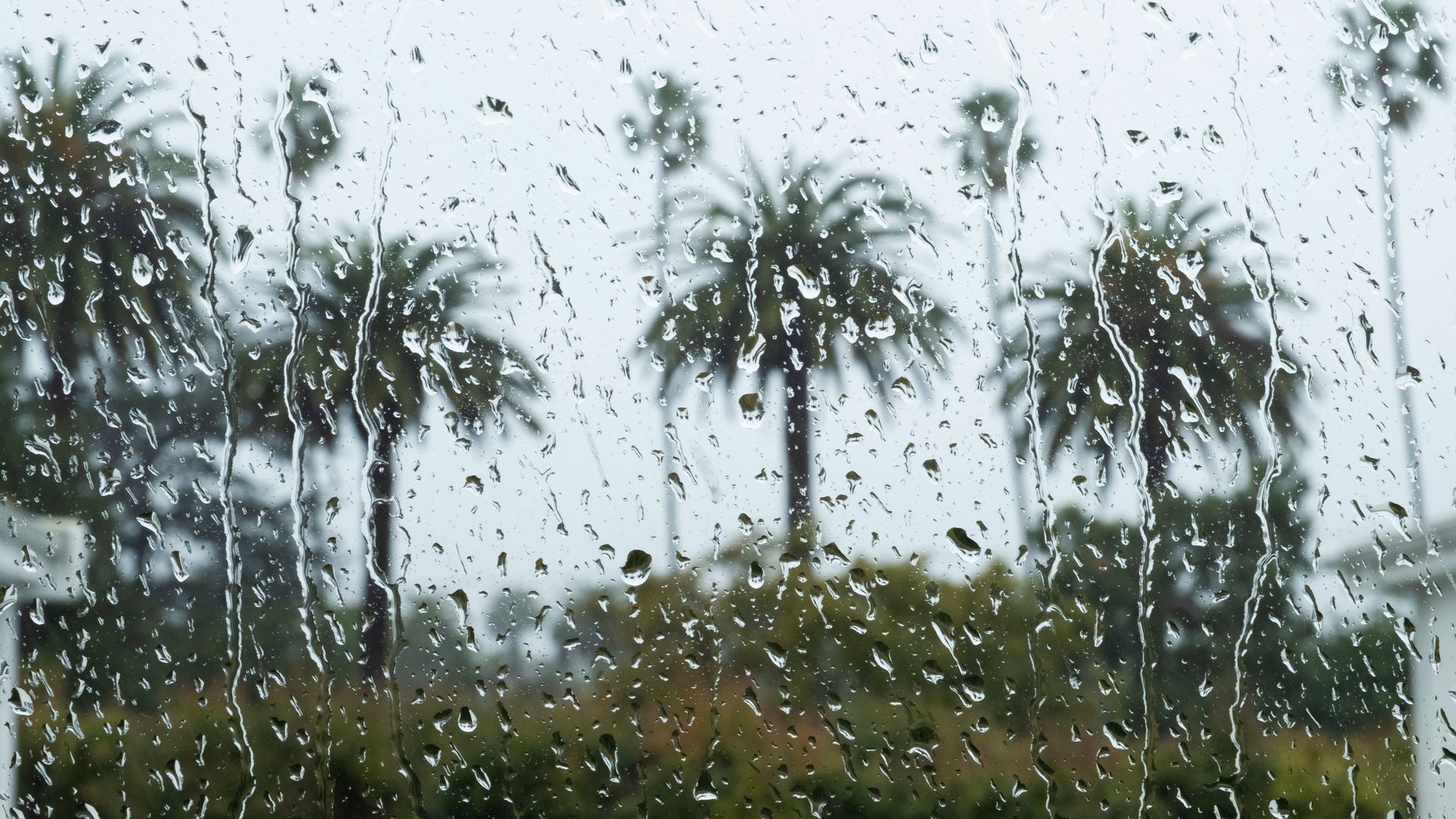 Forecasters predicted heavy rain for Central and Southern California starting Tuesday night, which could lead to flooding and mudslides.