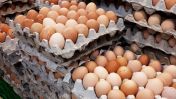 The Trump administration has announced a new five-point plan they say will help lower egg prices across the country.