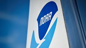 Hundreds of NOAA employees are being laid off as part of President Trump's federal workforce downsizing initiative.