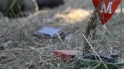 Four NATO countries bordering Russia and Belarus say they are abandoning a global treaty banning anti-personnel land mines.