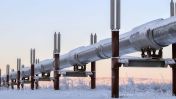 Trump said Japan, South Korea, and other nations have considered partnerships with the U.S. for a major Alaskan natural gas pipeline project.