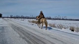 Russia lost 15,000 vehicles fighting in Ukraine. Now, the world's second largest army is using horses and donkeys in its logistics.