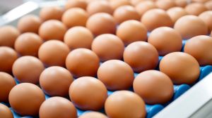 Easter and Passover are around the corner and high egg prices are threatening yearly traditions – that’s if shoppers can even find eggs on store shelves.