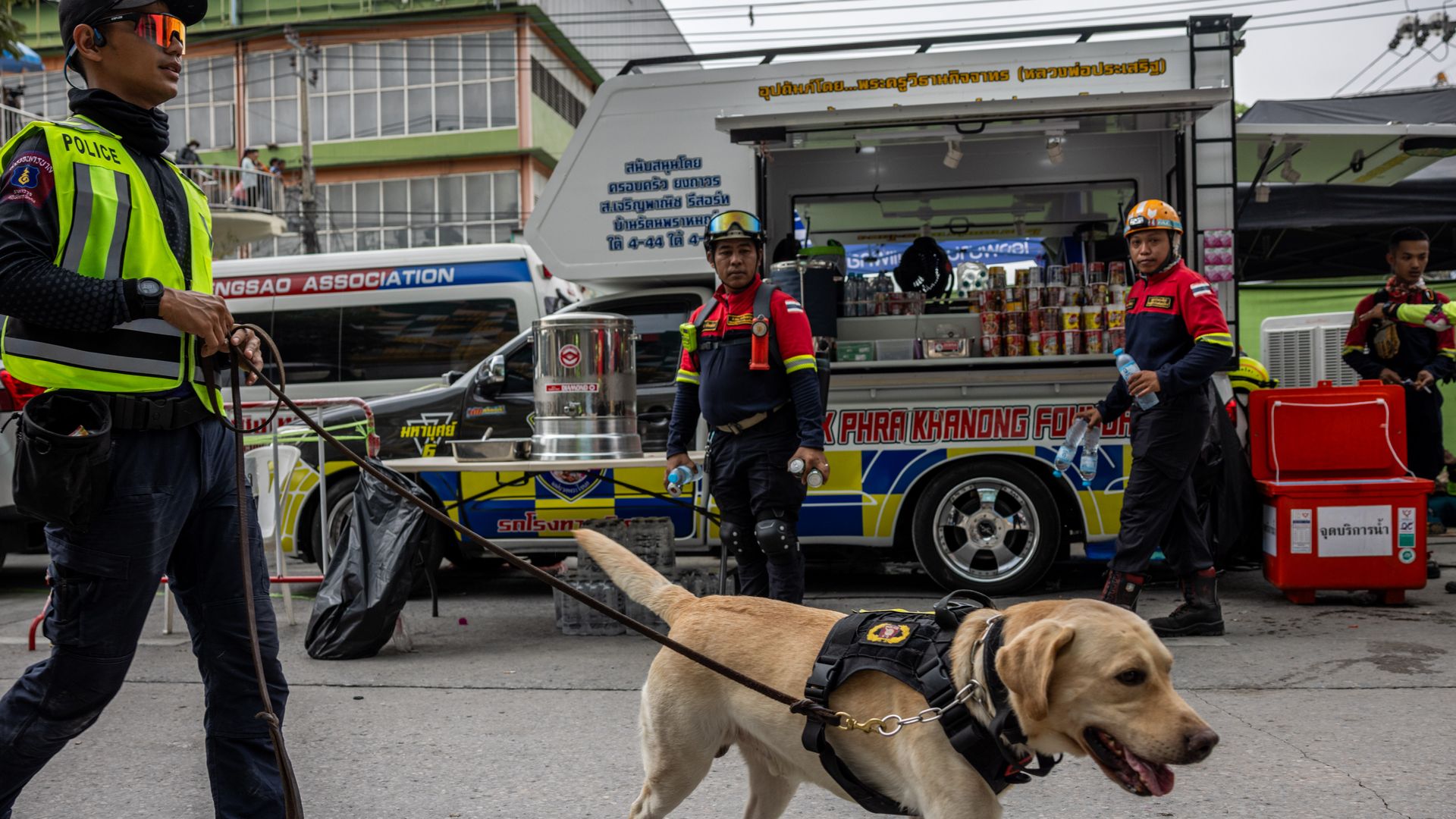 K-9 Unit dogs with Thailand's Rescue Dog Association rest in air conditioned crates between search and rescue missions at the site of a building collapse on March 31, 2025 in Bangkok, Thailand. 