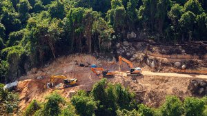 Trees in the Amazon rainforest are being cut down to build a highway for the upcoming COP30 climate summit in Brazil.