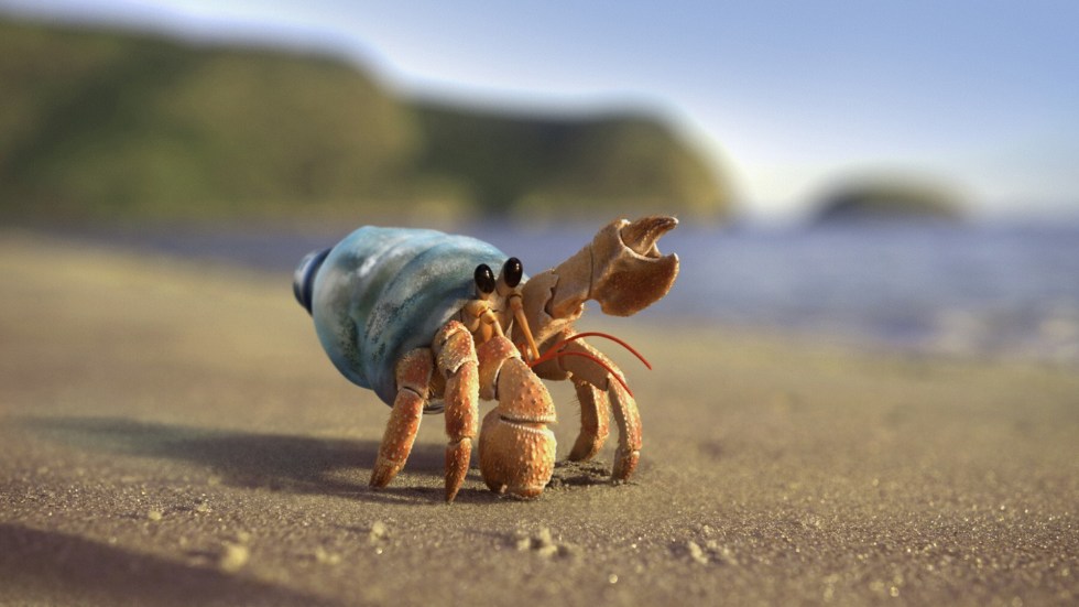 S.C. Johnson, the company behind Windex and Ziploc, released a short film showing Zuzu, a hermit crab, to fight plastic pollution.